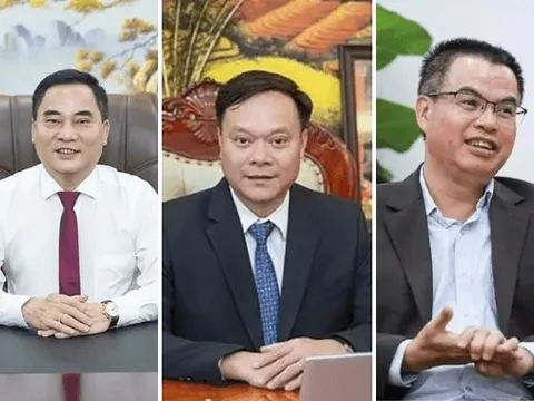 Biến động nhân sự tại Vinachem: Apatit Việt Nam, Đạm Ninh Bình và Casumina cùng thay Tổng giám đốc, chuyện gì đang xảy ra?