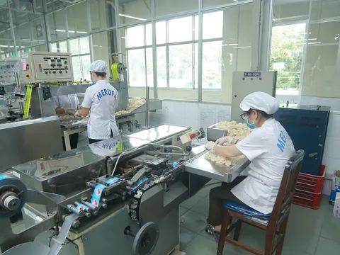 Từng có MB, Sacombank góp vốn, Merufa nay chứng kiến biến động thượng tầng: Hai sếp lớn xin nghỉ, cổ phiếu giảm 8% từ đầu năm