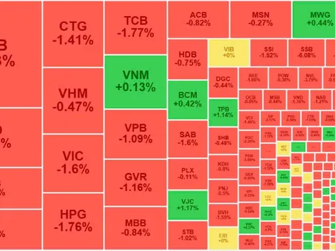 VN-Index mất điểm, cổ phiếu chăn nuôi hút tiền – Liệu đây có phải "cửa sáng"?