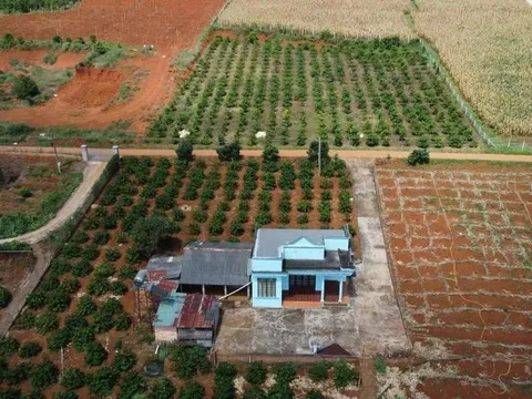 Sắp hết cảnh chuyển đất vườn sang đất ở là "đóng thuế tiền tỷ"