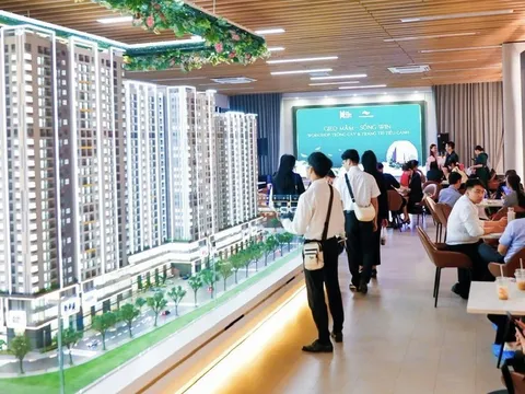 TP.HCM kiểm tra dự án bán “lúa non”, tăng giá bất thường