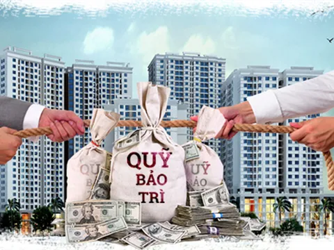 Quy định mới: Chủ đầu tư chậm bàn giao quỹ bảo trì bị phạt 260-300 triệu đồng