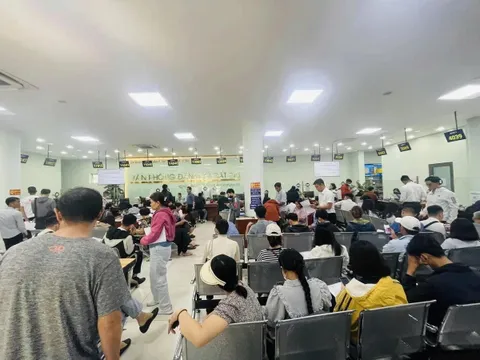 Gần 968.000 hồ sơ đất đai được giải quyết, TP.HCM yêu cầu làm rõ trách nhiệm từng khâu
