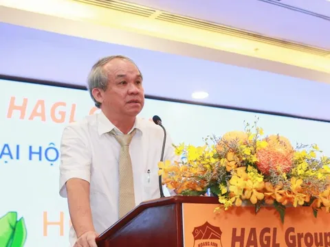 Hướng Việt rót 720 tỷ đồng, trở thành cổ đông lớn tại HAGL của bầu Đức