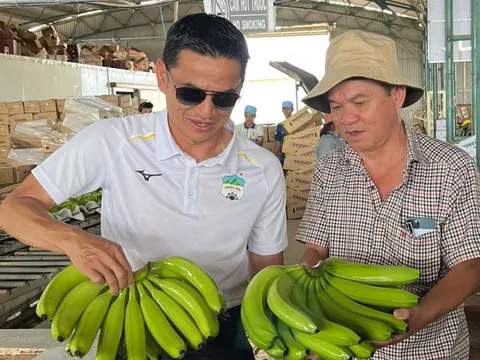 HAGL đặt mục tiêu lãi hơn 1.100 tỷ đồng năm 2025 – Phát hành 210 triệu cổ phiếu để để hoán đổi nợ trái phiếu hơn 2.500 tỷ đồng