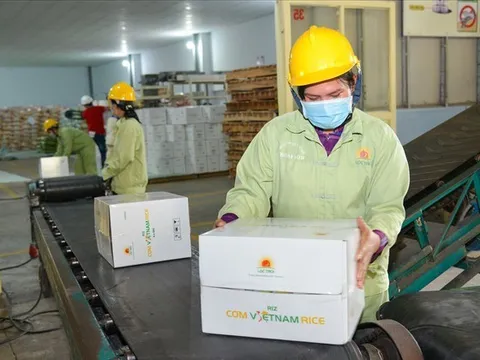 Doanh nghiệp nông nghiệp lớn nhất miền Tây dự kiến lỗ hơn nửa nghìn tỷ, đối mặt nguy cơ thanh khoản, chưa rõ khả năng hoạt động liên tục?