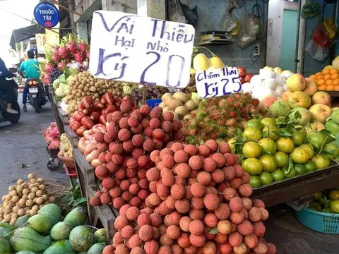Giá trái cây rơi tự do: Sầu riêng, vải thiều, chôm chôm… rẻ chưa từng thấy