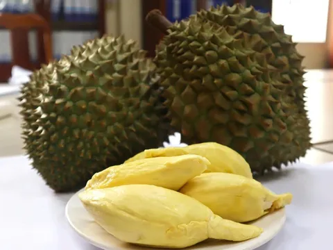 Nông sản "Made by Thaco" tiếp tục công phá hệ thống bán lẻ siêu thị