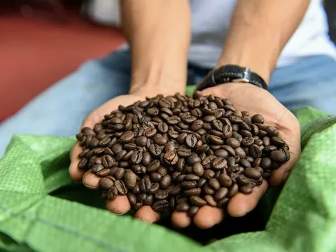 Gạo & cà phê đối mặt “cú sốc VAT” 5%, doanh nghiệp kêu cứu Thủ Tướng