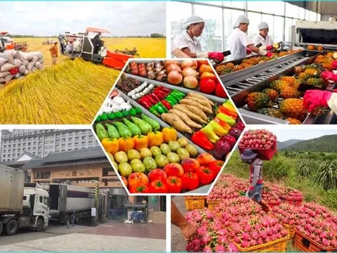Vượt bão thuế Mỹ – Nông sản Việt nỗ lực giữ vững vị thế toàn cầu