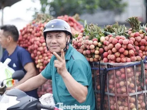 Bắc Ninh thu kỷ lục 6.200 tỷ đồng từ vải thiều, Trung Quốc chiếm gần hết xuất khẩu