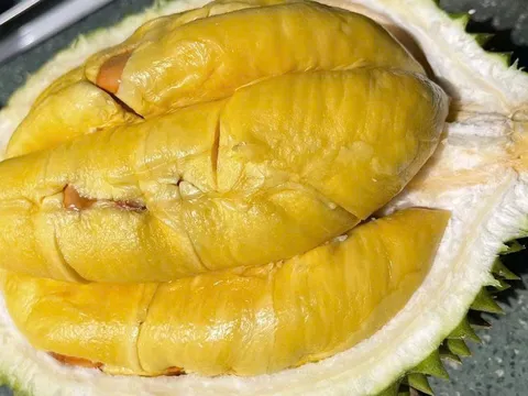 Sầu riêng Musang King lập đỉnh gần 300.000 đồng/kg