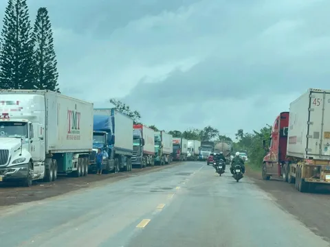 2.000 container sầu riêng Đắk Lắk ùn ứ chưa từng có: doanh nghiệp kêu cứu Chính phủ