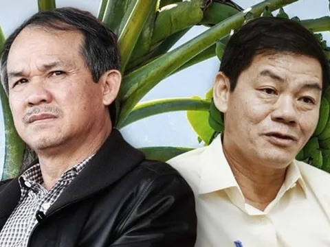 Tỷ phú Trần Bá Dương trồng chuối nhiều gấp đôi bầu Đức