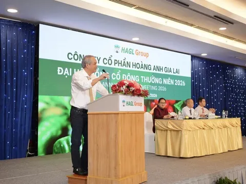 Hoàng Anh Gia Lai chính thức “qua cơn bĩ cực”: Kiểm toán gỡ nghi ngờ hoạt động liên tục sau 10 năm tái cấu trúc