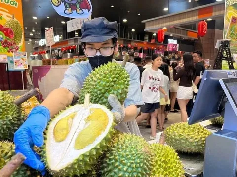 Vì sao sầu riêng miền Tây rớt giá mạnh nhưng vào siêu thị TP.HCM vẫn đắt đỏ?