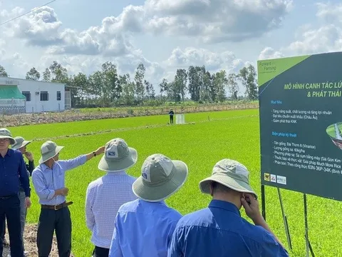 Xây dựng tiêu chuẩn quốc gia mới cho rau an toàn, gỡ nút thắt cho nông dân