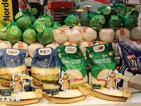 Gạo đặc sản Việt Nam vào hệ thống bán buôn hơn 60.000 mặt hàng tại Đức