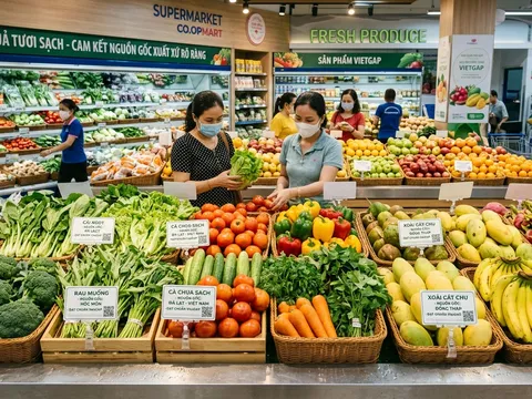 Xuất khẩu rau quả tăng gần 20%, vì sao doanh nghiệp Việt không thể chỉ trông chờ vào Trung Quốc?