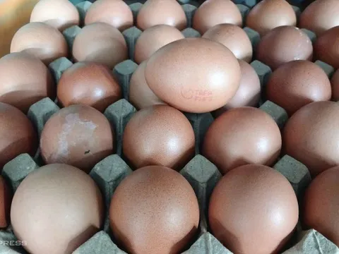 Giá trứng tăng sốc 30% ở TP.HCM: Vì sao lại khan hàng thế này?