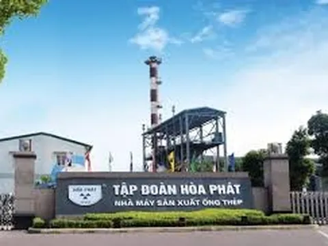 Tại sao IPO nông nghiệp Hòa Phát lại đáng thất vọng?