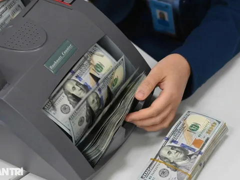 Mua bán ngoại tệ “chợ đen”: Phạt tới 100 triệu đồng, tịch thu toàn bộ tang vật