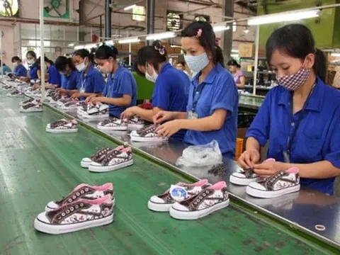 Giày Thượng Đình bên bờ vực: Lỗ lũy kế chạm 67 tỷ, bị nghi ngờ khả năng hoạt động liên tục