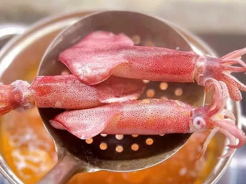 Trào lưu mukbang đẩy mực ống thành "ngôi sao TikTok", giá phi mã vẫn cháy hàng