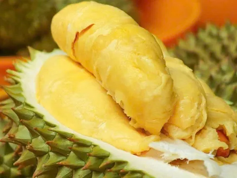 Buffet sầu riêng “gây sốt” TP.HCM: Hơn 500 khách đăng ký, hết sạch 1,5 tấn