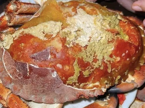 Cua siêu gạch bán online giá "chạm đáy" 270k/kg, dân mạng tranh nhau chốt đơn