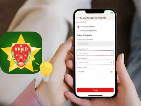 VNeID có hơn 500 triệu lượt truy cập, người dân đang tra cứu những thông tin gì nhiều nhất?