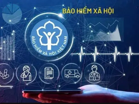 Hà Nội công khai gần 28.000 doanh nghiệp nợ bảo hiểm, APAX đứng đầu hơn 64 tỷ