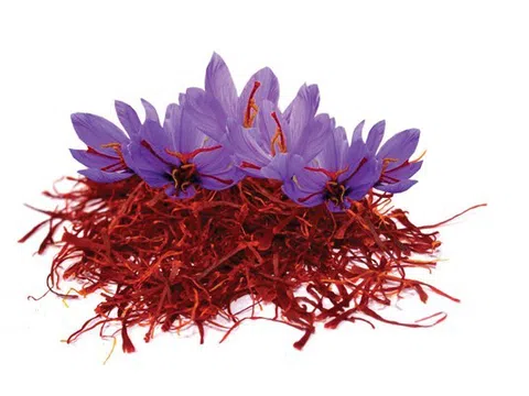 Nhụy hoa nghệ tây (saffron): Từ thuốc nhuộm vải, gia vị trở thành "thần dược" hot nhất VN - Ai đứng đằng sau?"