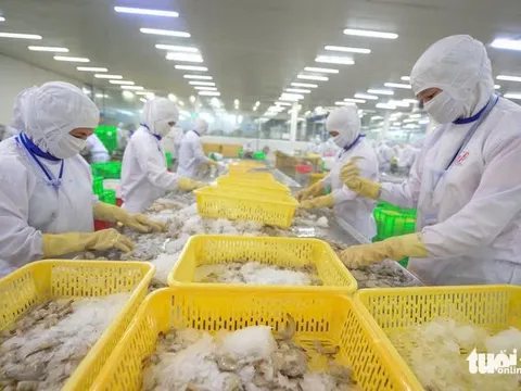 Doanh nghiệp Việt chạy nước rút xuất khẩu tôm, gỗ sang Mỹ