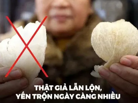 Nước yến giả tràn lan, nhái trắng trợn thương hiệu lớn