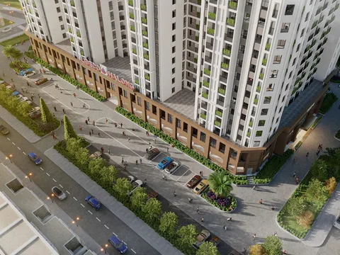 Lideco (NTL) lao dốc lợi nhuận: Tiền mặt giảm hàng trăm tỷ, hơn 860 tỷ đồng nằm ở các khoản dở dang!