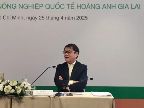 HAGL Agrico lỗ triền miên nhưng THACO vẫn kiên trì - Cái nhìn “đại chiến lược” của ông Trần Bá Dương