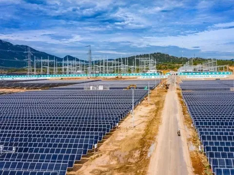Trung Nam Thuận Nam "lội ngược dòng": Lãi gần 140 tỷ sau cú lỗ 1.000 tỷ đồng