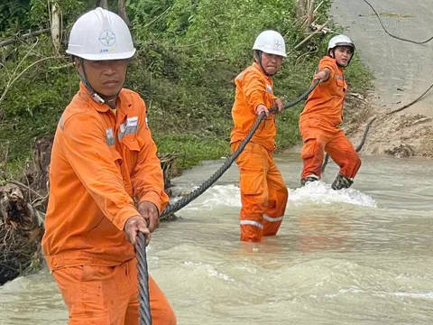 EVNNPC khẩn trương triển khai toàn diện phương án ứng phó bão số 10