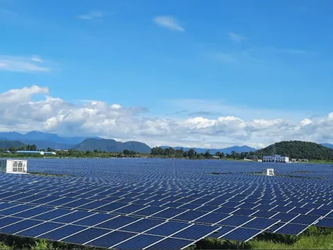 2 doanh nghiệp năng lượng trong hệ sinh thái BB Group bị “tuýt còi” vì không công bố thông tin