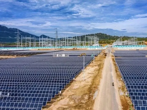 Công ty điện mặt trời của Trungnam Group lỗ gần 1.000 tỷ, gánh khoản nợ gần 10.000 tỷ đồng