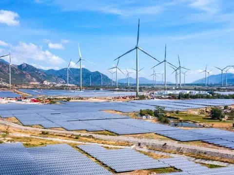 Năng lượng Trung Nam bị phạt vì loạt vi phạm chậm công bố thông tin trái phiếu