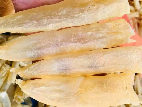 Bong bóng cá - từ món bỏ đi giờ đắt đỏ với giá lên đến 5 triệu đồng/kg, được săn đón tại Trung Quốc