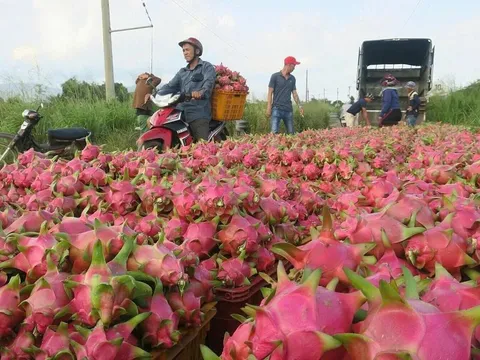 Thủ tướng chỉ đạo "nóng": Không để nông sản tắc cửa khẩu