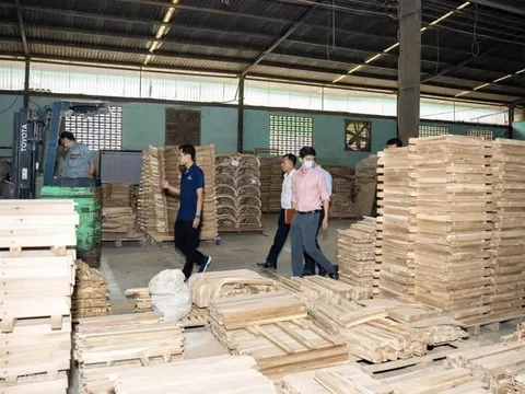 Mỹ chi mạnh tay: Gần 4,6 tỷ USD nhập gỗ Việt chỉ trong 6 tháng