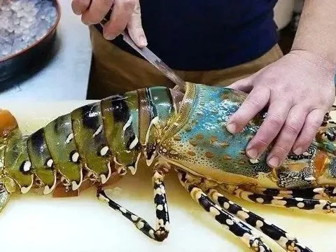Tôm hùm Việt Nam “đánh chiếm” phân khúc cao cấp Trung Quốc