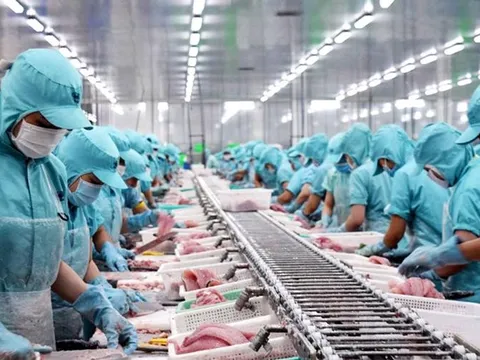 Mỹ đưa Việt Nam vào diện cảnh báo cao nhất về sở hữu trí tuệ: Doanh nghiệp xuất khẩu đứng trước áp lực mới