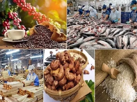 Xuất khẩu nông, lâm, thủy sản đạt 56,3 tỷ USD, 3 tháng cuối năm cần “chạy” thêm gần 18 tỷ USD