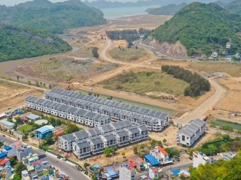 Loạt ‘ông lớn’ bất động sản có lãi nhờ “bán con” – Khi lợi nhuận đến từ tài chính hơn là bán nhà