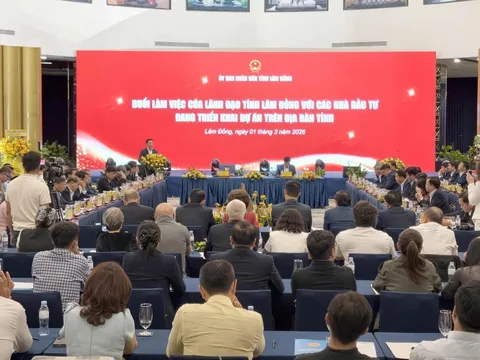 Gần 400 dự án “mắc kẹt” với 250.000 tỷ đồng: Lâm Đồng lập 6 tổ công tác tháo gỡ dự án khơi thông dòng vốn